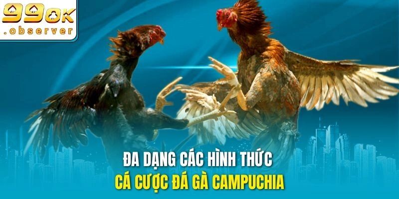 Đa dạng các hình thức cá cược đá gà campuchia
