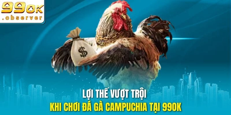 Lợi thế vượt trội khi chơi đá gà campuchia tại 99ok
